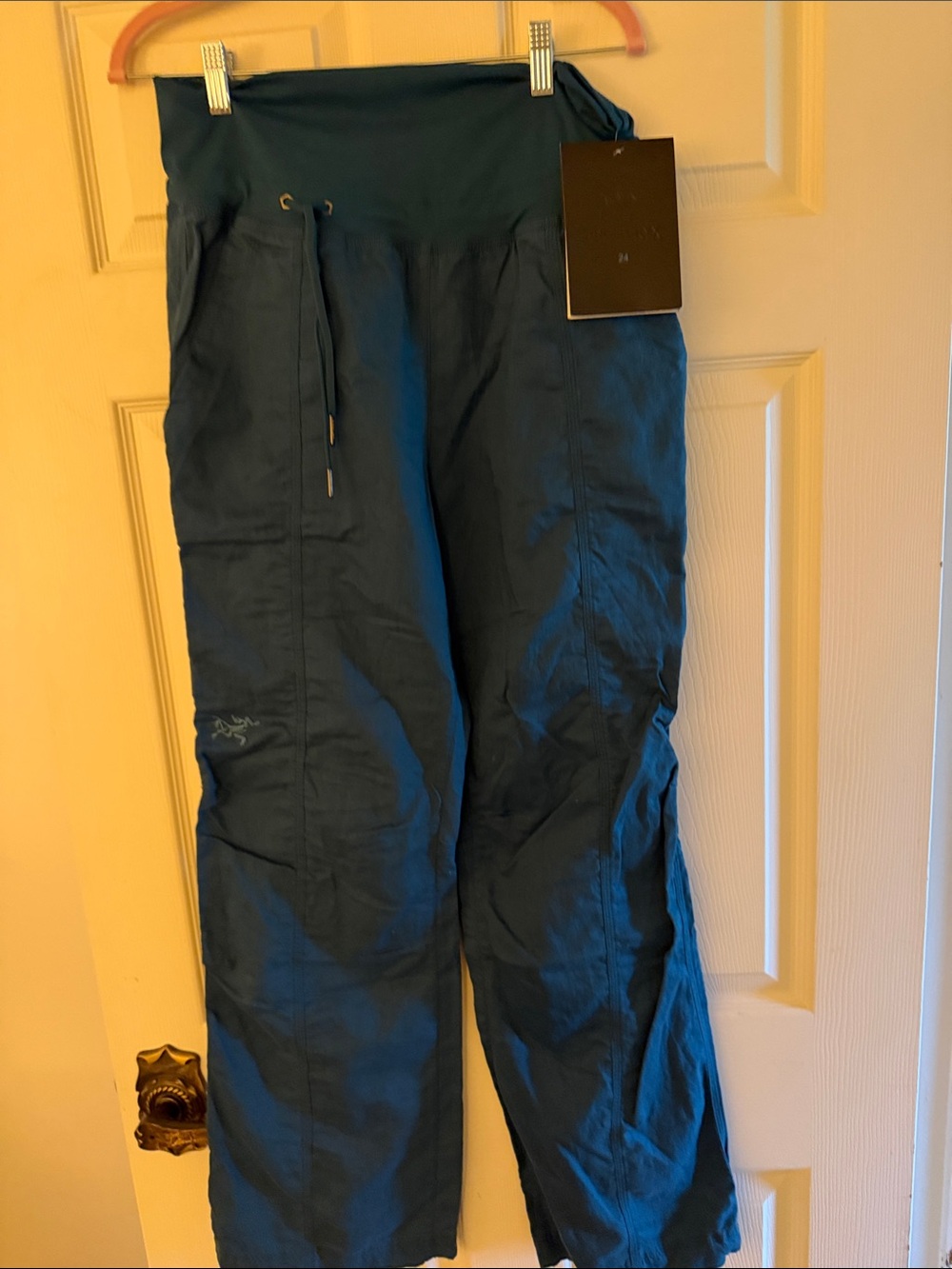 Arc'teryx Teal Pants